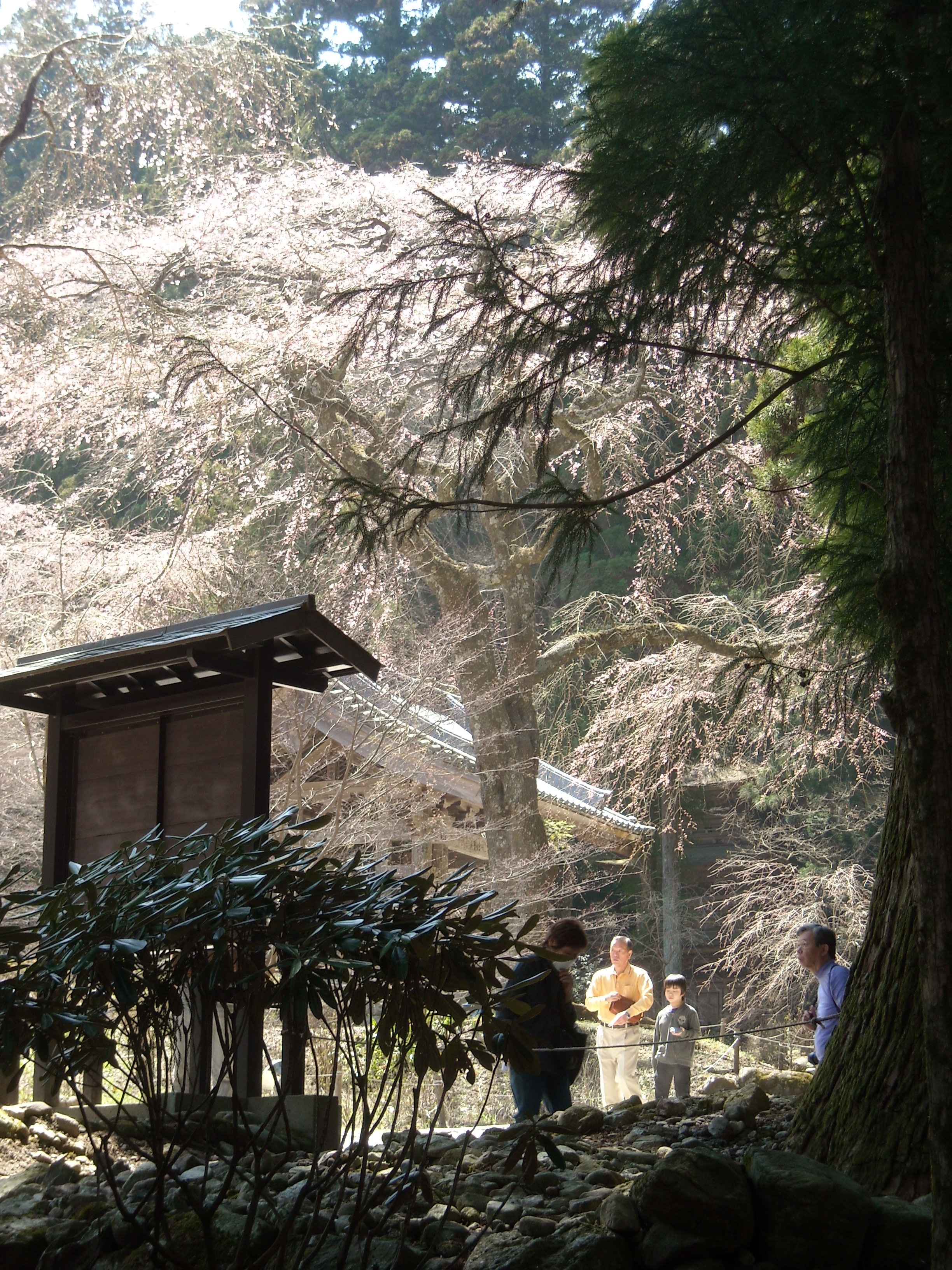 宝積山　光前寺